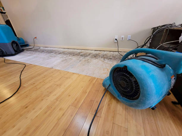 Professional Flood Damage Cleanup technician working in Gold Canyon, AZ